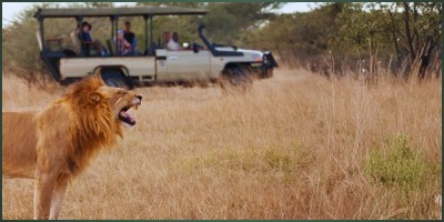 Aviation as the Center of Hwange’s Growth