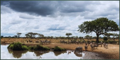 How African Cultures Preserve the Environment