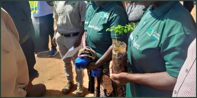 Climate Change and Its Impact on Hwange