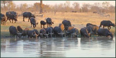 Hwange National Park