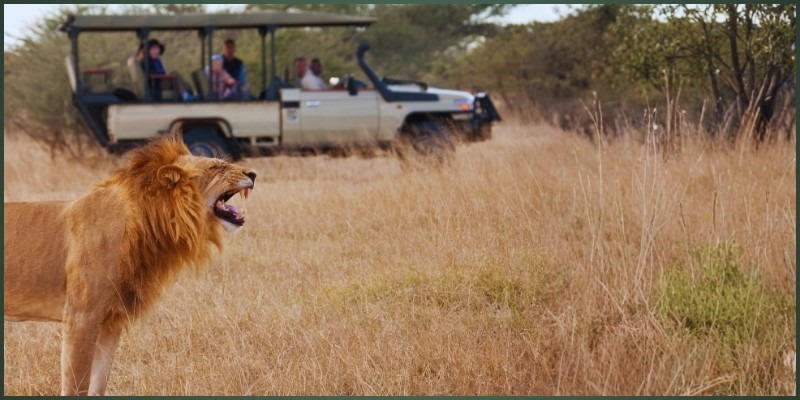 Aviation as the Center of Hwange’s Growth