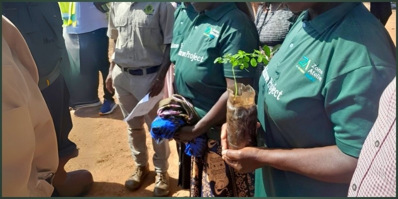 Climate Change and Its Impact on Hwange