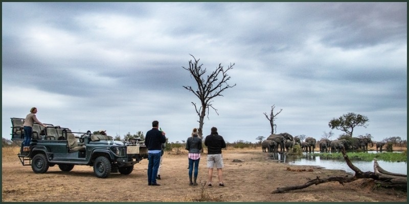 The Best Time to Visit Hwange National Park