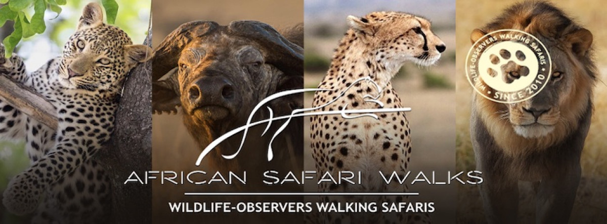 African Safari Walks